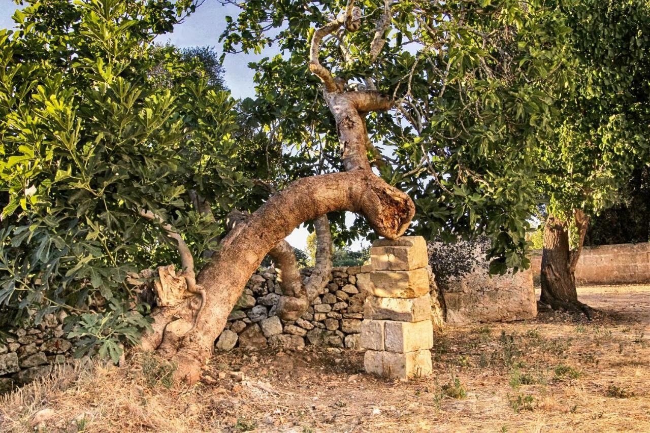 Masseria Costa Corigliano dʼOtranto Eksteriør bilde